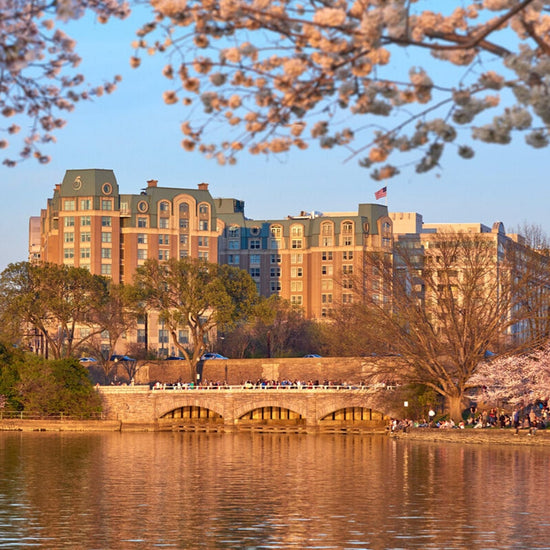 <p>Salamander DC, </p><p>Washington DC, États-Unis</p>